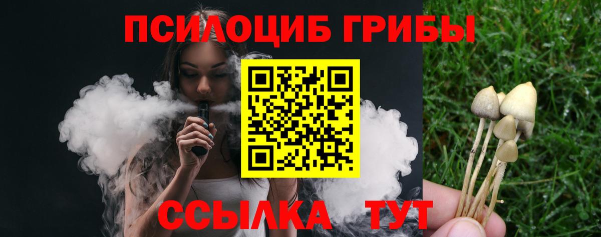 Галлюциногенные грибы мицелий  Галлюциногенные грибы GOLDEN TEACHER  Гагарин  Вход с VPN 